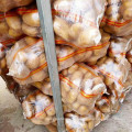 2021 New Season Fresh Vegetable Exporter With International Certificationss Fresh Potato